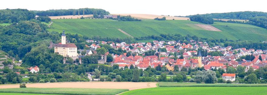 BBlick von der Burg Guttenberg auf Gundelsheim und auf das Schloss Horneck