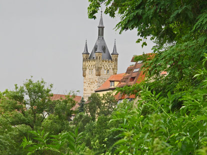 Bei den letzten Metern auf dem Neckarsteig hat man diesen Blick auf Bad Wimpfen mit dem "Blauen Turm"