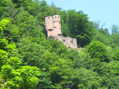 Burg Schadeck  (Schwalbennest) in Neckarsteinach