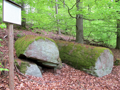 Die 4 m langen Heunefässer (Sandsteinsäulen) auf dem Bürgstädter Berg. Die Steine wurde hier u.a. für den Mainzer Dom gebrochen und roh bearbeitet.