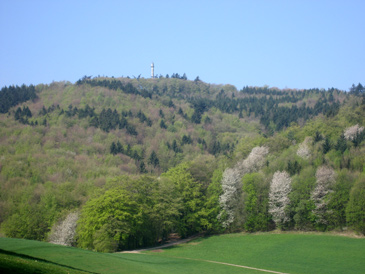 Nibelungensteig: Melibokus mit 517 m die höchste Erhebung des westlichen Odenwaldes. Auf alten Wanderkarten fälschlich auch mit Malchen bezeichnet.