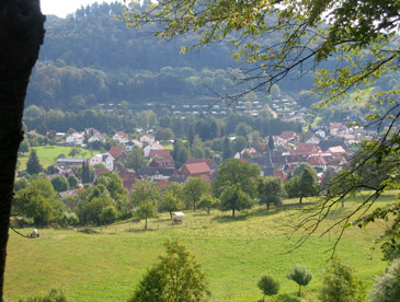 Blick auf den kleinen Ort Schlierbach im Odenwald