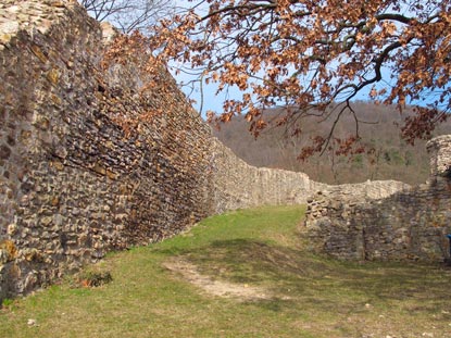 Die Schauenburg  wurde Mitte des 12 Jh. gebaut. Aber bereits 300 Jahre später in einem Konflikt zwischen Kurmainz und der Kurpfalz zerstört.