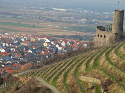 Burgensteig Odenwald: Die Strahlenburg - oberhalb von Schriesheim