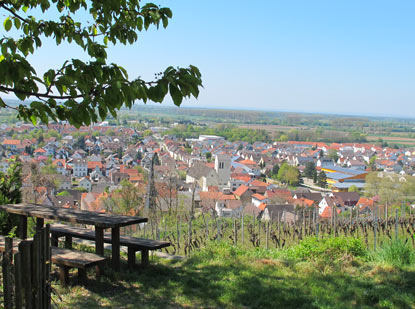 Wandern Burgensteig Bergstraße: Ansicht des Weinortes Laudenbach.