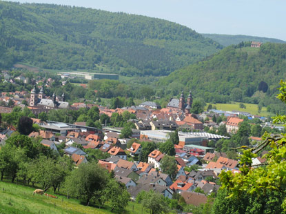 Blick auf die Altstadt von Amorbach