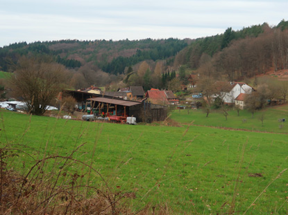 BNlick auf Ernsbach, einem Weiler im Odenwald