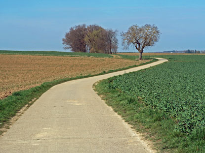 Wanderweg von Ober-Ramstadt �ber die Rohrbacher-Strasse nach Rohrbach