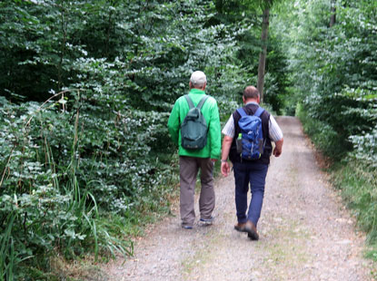 Wanderweg Odenwald von Brandau nach