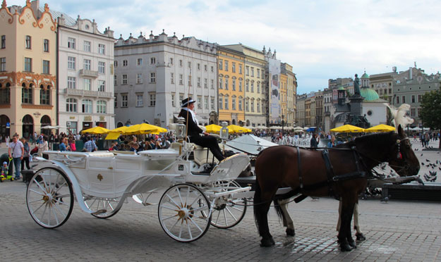 Kutschen auf dem Rynek von Krakau warten auf Kundschaft fr eine Stadtrundfahrt.