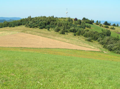 Vom Berg Łysa Góra wandert man über eine freie Fläche zum Grzywacka Góra 