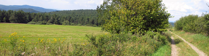 Der Beskiden-Hauptweg verläuft ab Komańcza durch die Niederen Beskiden (Beskid Niski) 