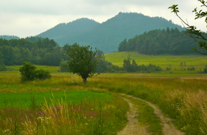 Das Gebirge Rudawy Janowickie (Landeshuter Kamm) mit den Góry Sokole (Falkenberge)