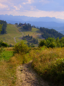 Blick vom Gorce-Gebirge auf die Hohe Tatra