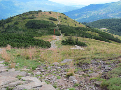 Plattenweg vom Przełęcz Brona (Brona-Pass) zum Mała Babia Gra (Kleiner Altweiberberg)