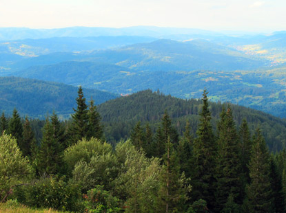 Blick von der 1.330 m hoch gelegenen Schronisko na Hali Miziowej ins Tal