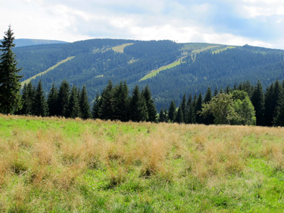 Am Przełęcz Puchaczówka (Puhu-Pass) sahen wir uns heutiges Ziel: der 1.205 m hohe Czarna Góra (Schwarzer Berg) 