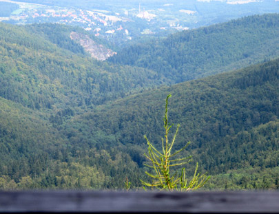 Blick vom  872 m hohen Jawornik Wielki (Groß Geyersberg) nach Złoty Stok (Reichenstein)