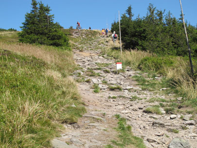 Direkt an der polnischen-tschechischen Grenze verläuft der Wanderweg hinauf zum Śnieżnik (Glatzer Schneeberg/Grulicher Schneeberg/Großer Schneeberg)