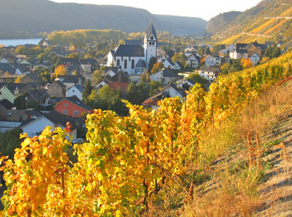 Ansicht  im Herbst von Leutesdorf 