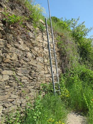 Rheinburgenweg: Oelsbergsteig ist durch Eisenklammern, Drahtseile und Leitern gesichert,