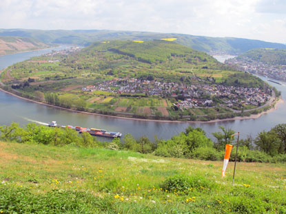 Rheinburgenweg: Rheinschleife bei Boppard