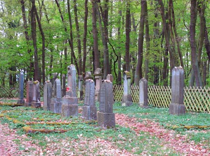 Auf dem jüdischen Friedhof von Rhens befinden sich 34 Grabsteine, der älteste von 1864 (Abraham Mayer) und der jüngste von 1932 (Susanne Mandel).