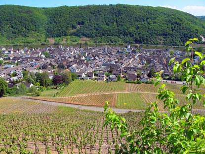 Rheinburgenweg Wanderung: Winningen - "das Tor zum Weinparadies" liegt vor uns