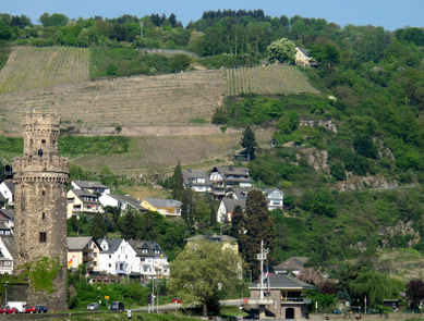 Von der Schutzhütte oberhalb vom Roßstein sieht man auf Oberwesel mit  dem Ochsenturm und Gründerrodehaus