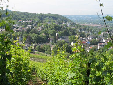 Vom Aussichtsplatz Rheinblick Blick auf den Ort Oberdollendorf 