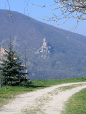Blick vom Rheinsteig auf die gegenüberliegende Burg Sooneck