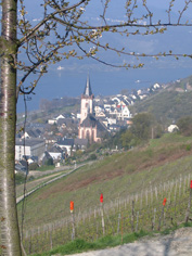 Blick auf den Ort Lorch mit der St. Martinskirche
