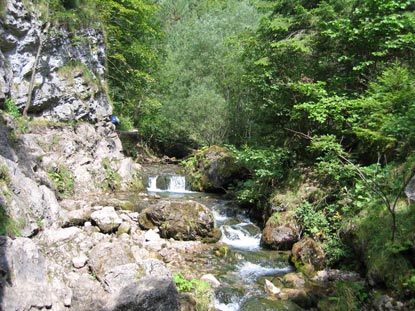 In der unteren Hälfte der  Prosiecka dolina wird die Klamm breiter und es fließt ein Bach