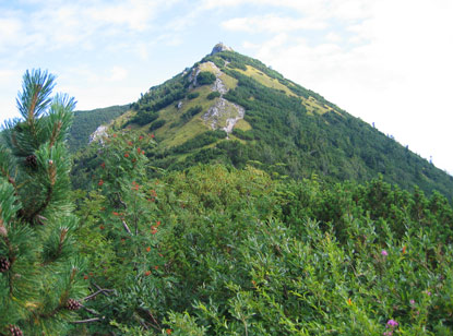 Der Wanderweg verluft auf dem Bergkamm. Blick vom sedlo Vrta auf den Berg Stratenec 1.513 m.