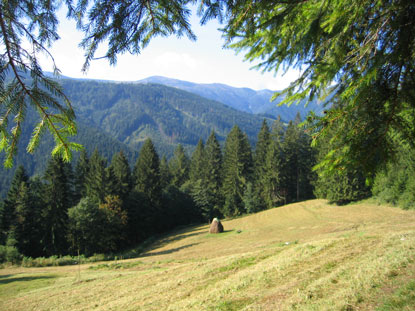 Von tefanov sieht man im Hintergrund die Berge: Mal Krivň und Veľk Krivň.