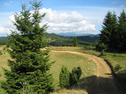 Ein Traumwanderweg ist die Etappe Dolný Kubín (Unterkubin) nach Veľké Borové.