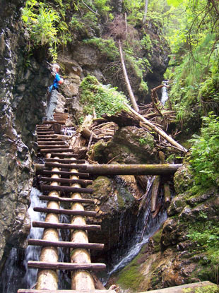 Slowakisches Paradies: Der Schwierigkeitsgrad der Wanderwege ist unterschiedlich. Hier in der Veľký Sokol (Großfalkenschlucht) wandert man auf Holzleitern.