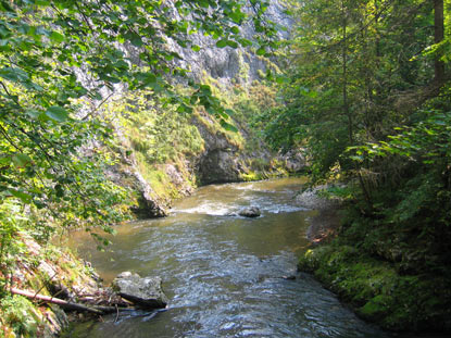 Steile Felswände begrenzen den Fluß Hornád. Das Tal zählt zu den schönsten Wandergebieten des Slowakischen Paradieses.