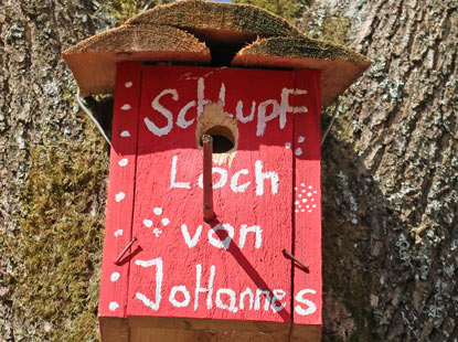 Wohnort der Vogel-Famiilie Johannes in Ober-Sensenbach