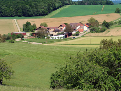 Weiler Ingelheimerhof