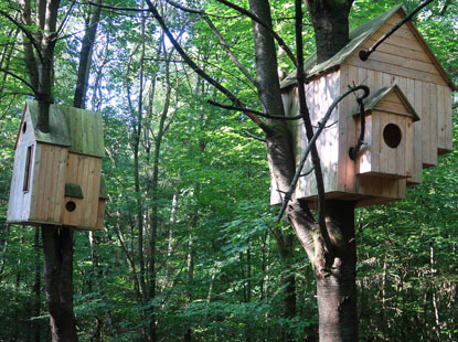Vogesenweg auf dem Waldkunstpfad: Waldkunst: Houses/Nests