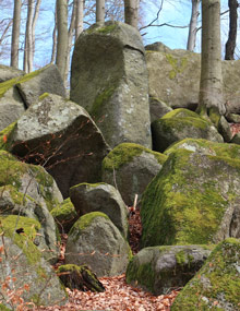 Felsenformationen am Felsenmeer im Odenwasld
