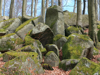Vogensenweg: Felsen im Naturschutzgebiet Felsenmeer
