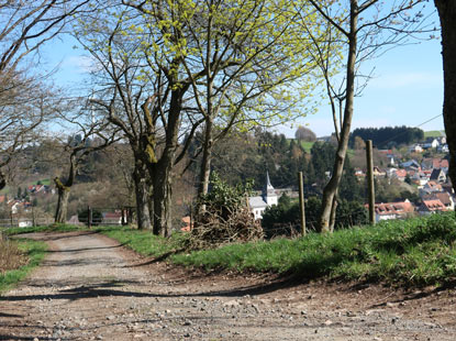 Der Vogesenweg bei Ober-Beerbach