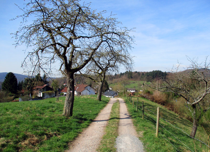 Bärsbacherweg bei Altenbach