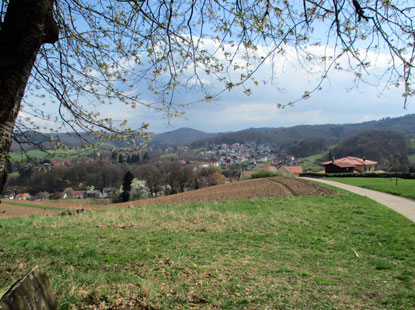 Blick vom Rottmannsberg auf Oberflockenbach