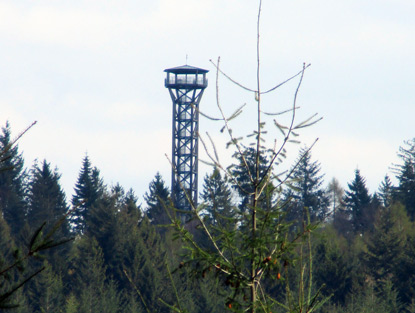 Der frei zugägnliche Teltschickturm in Wilhelmsfeld