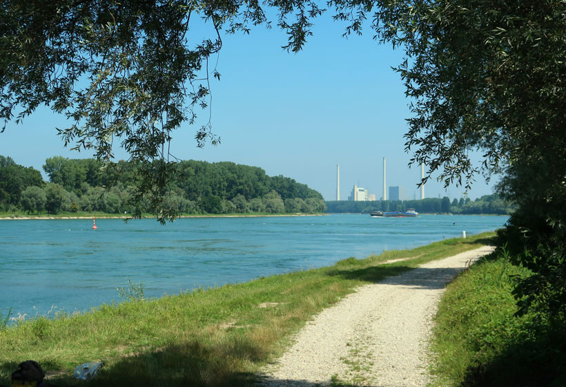 Der Vogensweg trifft auf den Rhein bei Neuburgweier