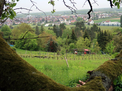 Blick auf unser nächstes Wanderziel: der Ort Weingarten im Kraichgau