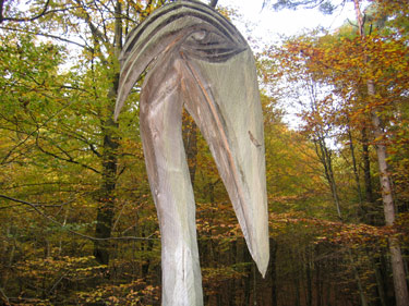 Kunst im Wald: der Künstler Peter Lang hat diesen Holzvogel direkt am Westerwaldsteig geschaffen